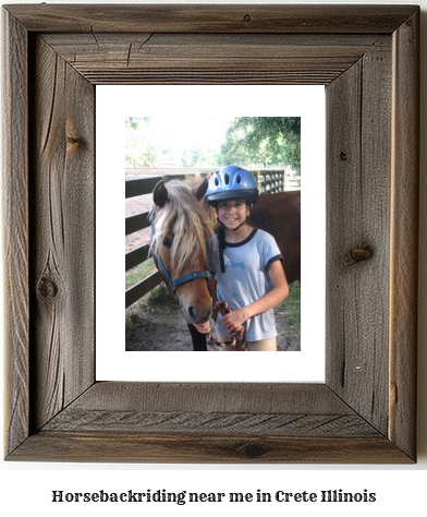 horseback riding near me in Crete, Illinois